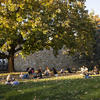 Students sit and socialize on the lawn.